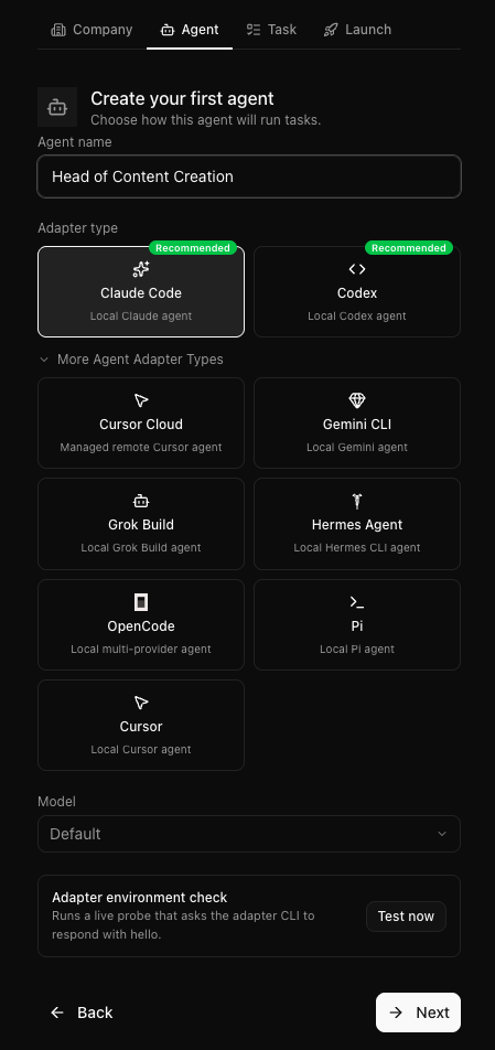 Paperclip agent adapter types including Claude Code, Codex, and Cursor